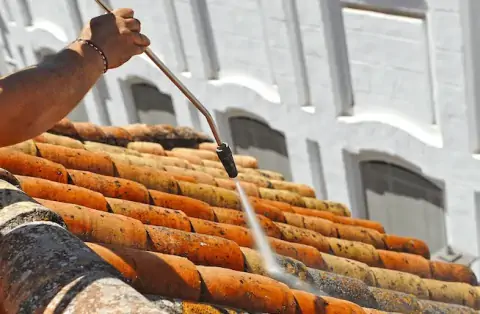 Nettoyage de toitures - Sartrouville